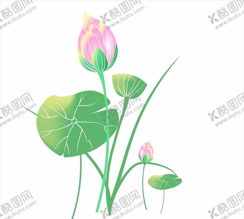 编号：74383606142137095433【酷图网】源文件下载-莲花矢量