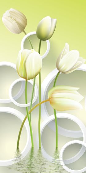 郁金香水波纹圆圈玄关图