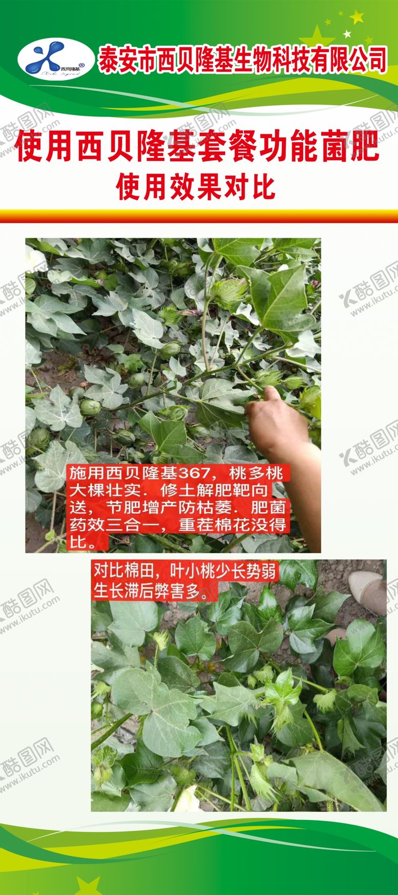 编号：30422510291445552355【酷图网】源文件下载-西贝隆基菌肥展架