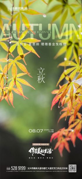2025节日节气立秋