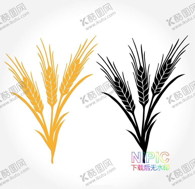 编号：13660706142303059451【酷图网】源文件下载-麦穗