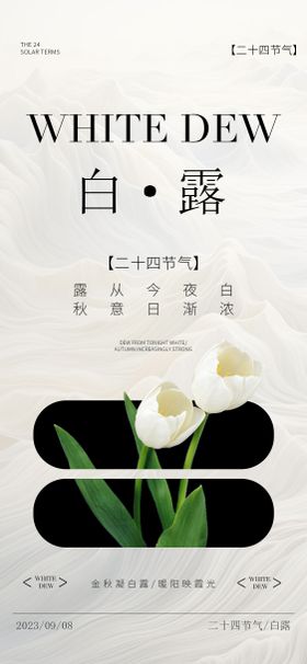 二十四节气海报 白露海报