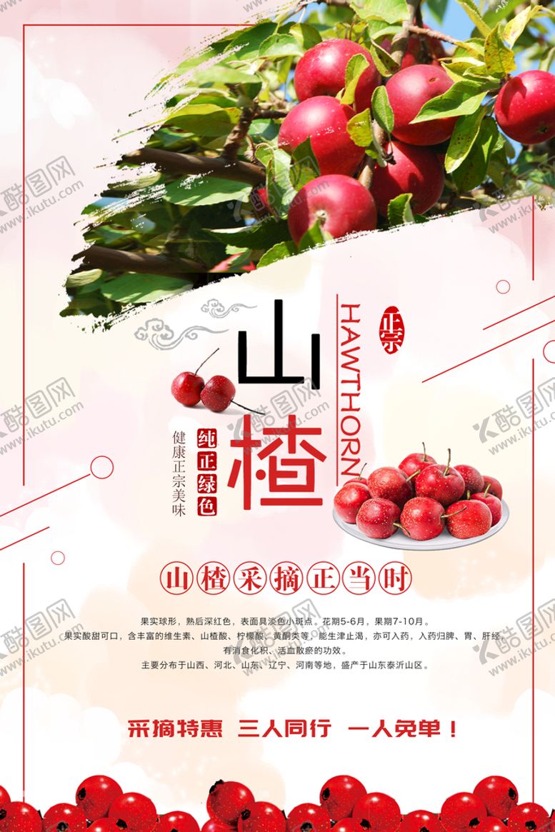 编号：25630409130612089546【酷图网】源文件下载-山楂