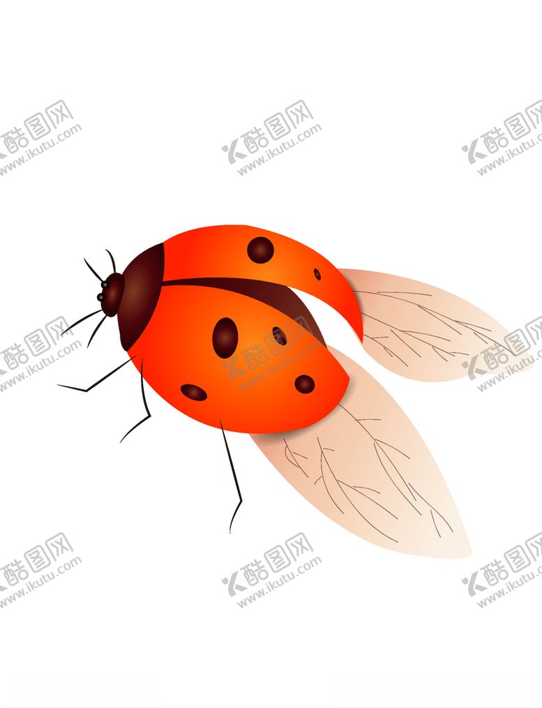 编号：52102504180109164163【酷图网】源文件下载-手绘矢量瓢虫