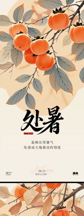立秋处暑柿子系列海报