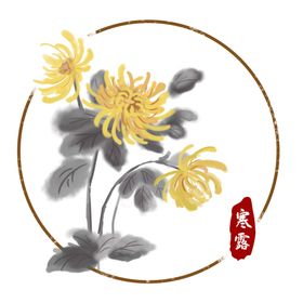 菊花素材
