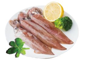鱿鱼
