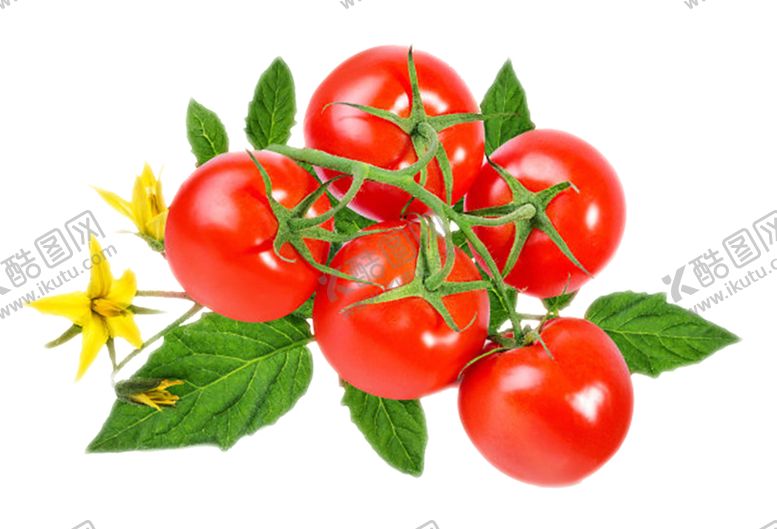 编号：97236510041910071588【酷图网】源文件下载-水果