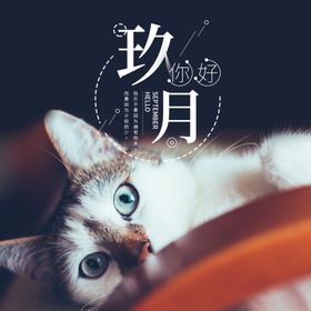 九月你好