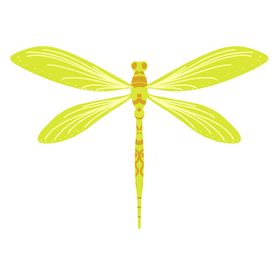 蜻蜓