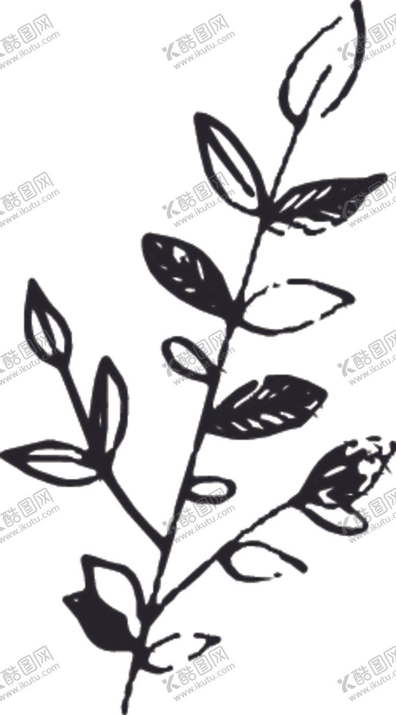 编号：76342509200809065352【酷图网】源文件下载-手绘花卉元素