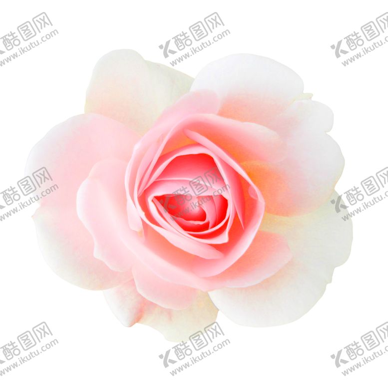 编号：76567209191548046330【酷图网】源文件下载-浪漫素材