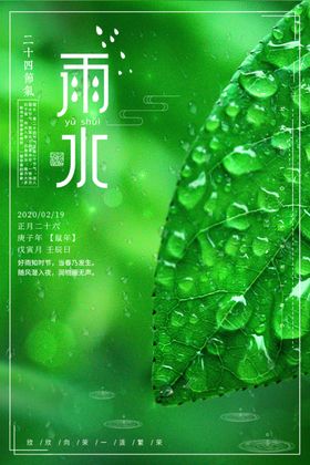 雨水节气海报谷节日节气