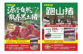 生态黑猪单页