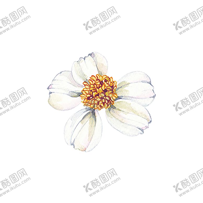 编号：43653210030206591260【酷图网】源文件下载-鲜花素材