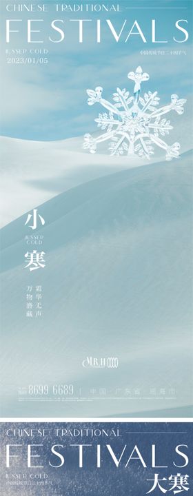 大寒雪花海报