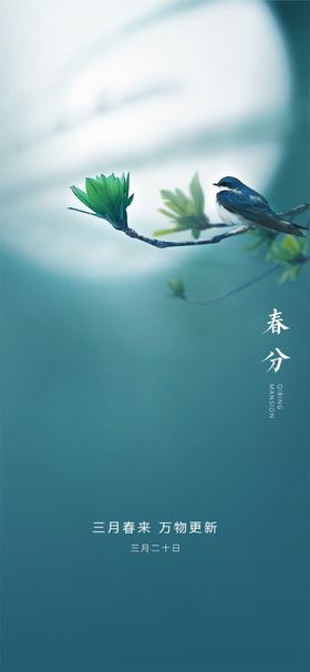 春分手机海报