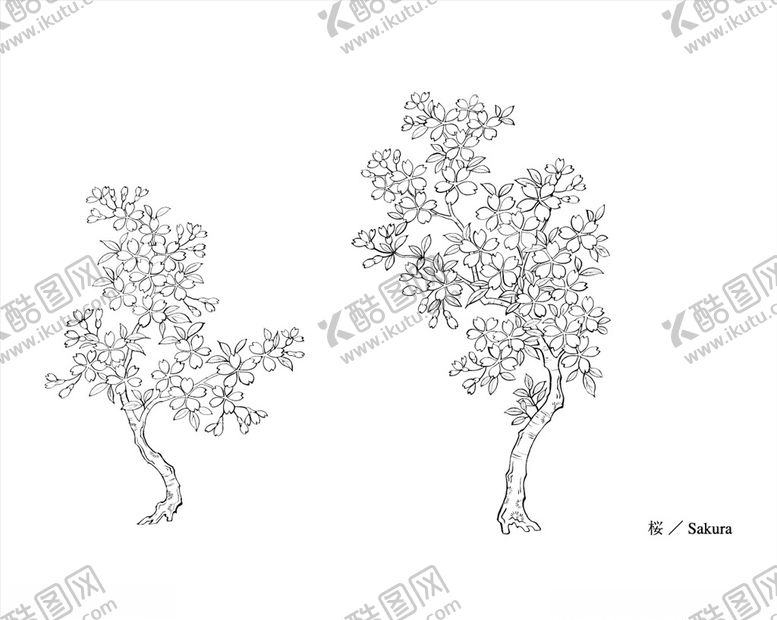 编号：24507109251537256619【酷图网】源文件下载-线描树木