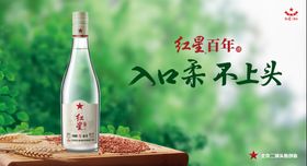 兼香白酒海报