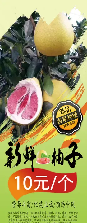 柚子海报