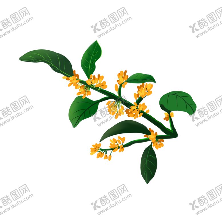 编号：83419702070052002018【酷图网】源文件下载-手绘桂花png免抠素材