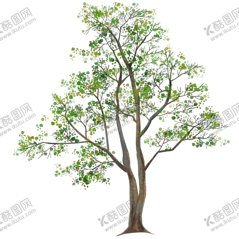 编号：70297105052051432036【酷图网】源文件下载-插画风手绘水彩风环艺水彩树