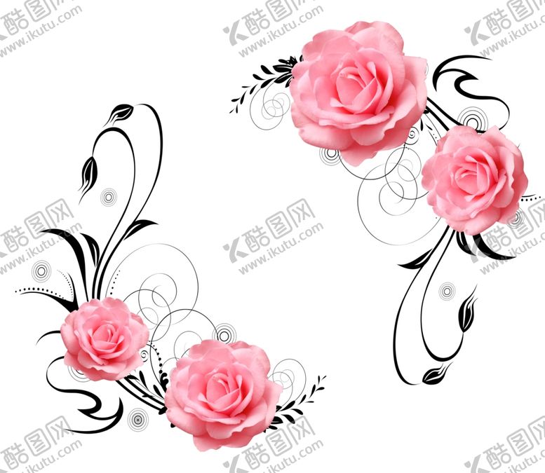 编号：61015210281031342704【酷图网】源文件下载-玫瑰花