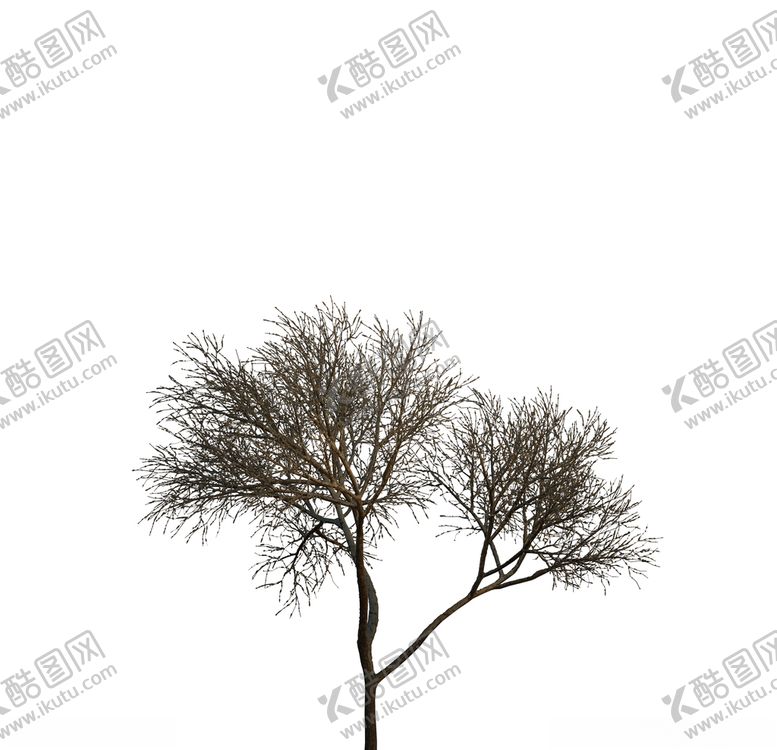 编号：83263110061359157700【酷图网】源文件下载-树木