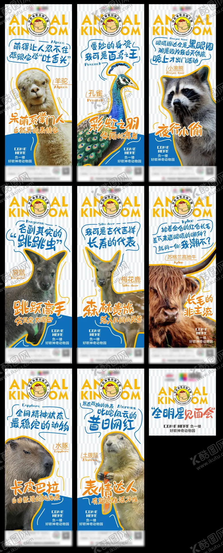 编号：38732604301729202711【酷图网】源文件下载-动物园明星见面会系列海报