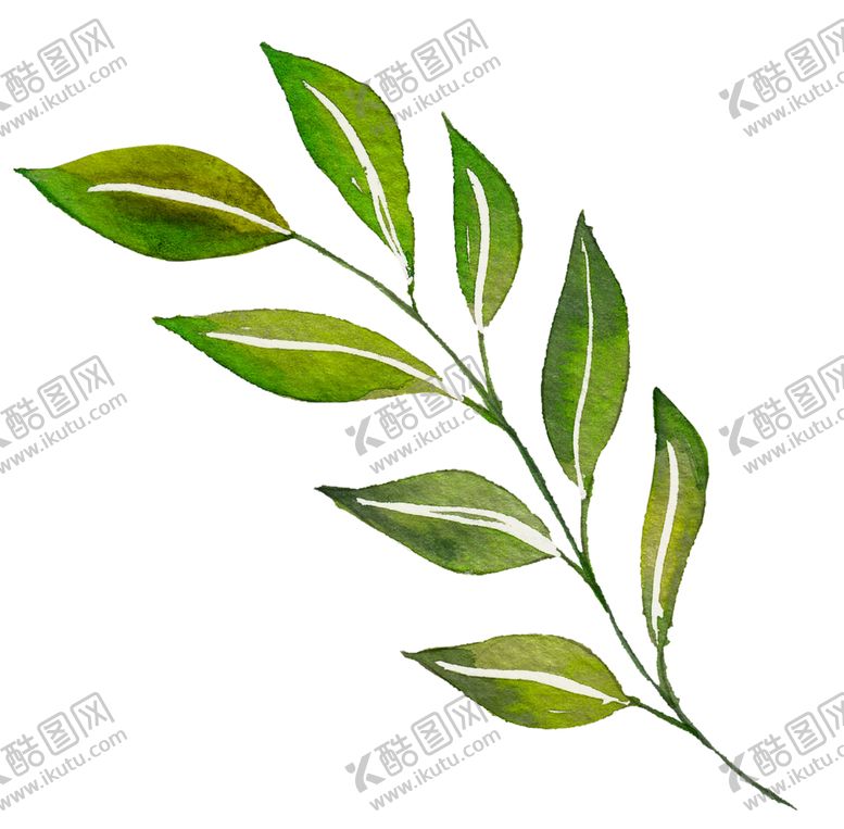 编号：64277207020632355365【酷图网】源文件下载-水彩植物