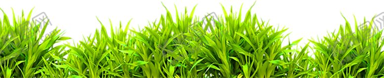 编号：57163109290241086762【酷图网】源文件下载-鲜花装饰