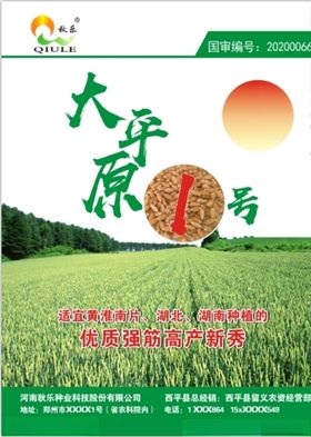 秋乐玉米种子农业化肥宣传单海报