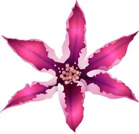 写实花卉彩色唯美漂亮插画