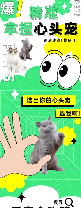 宠物猫咪长图海报