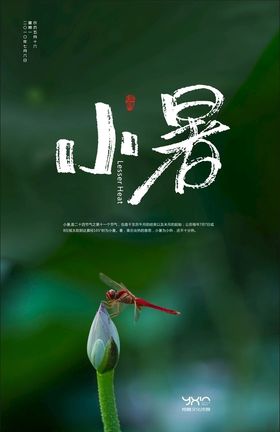 小暑节气