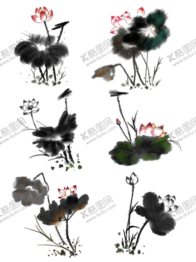 编号：42075110111548588901【酷图网】源文件下载-荷花