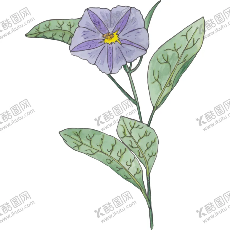 编号：45987905061311032898【酷图网】源文件下载-花图片