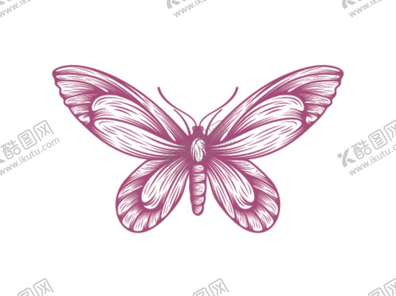 编号：54681910100314575447【酷图网】源文件下载-蝴蝶logo