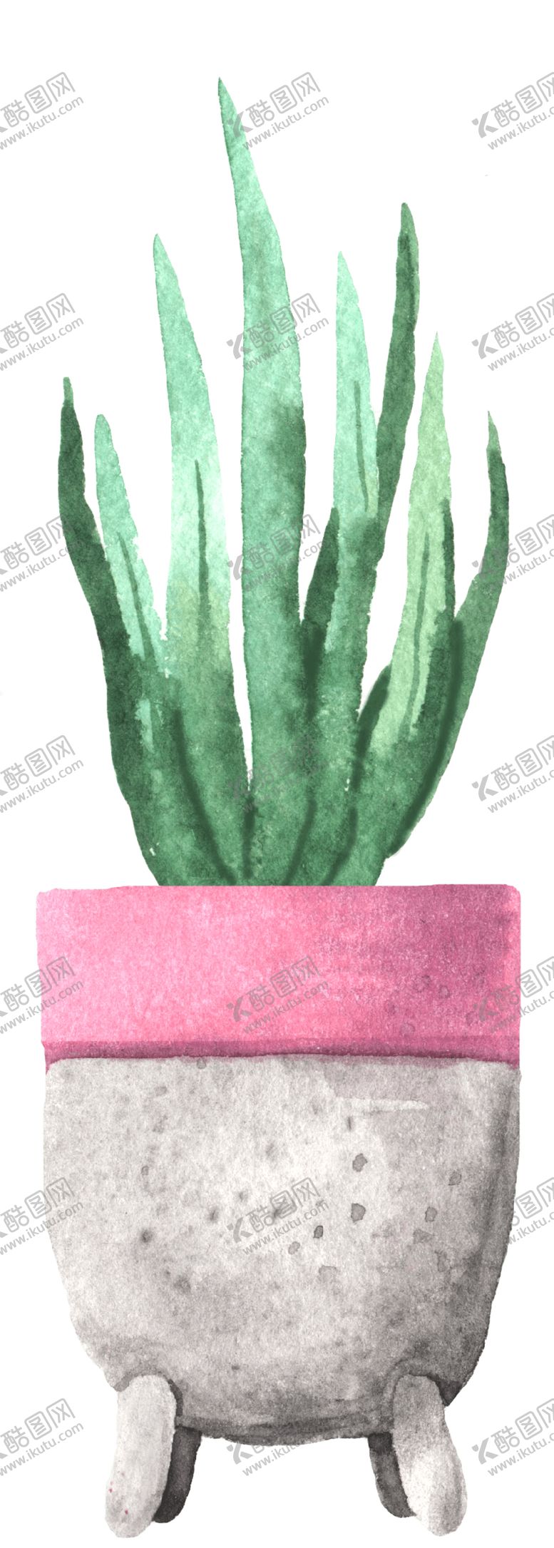编号：27965207130545176037【酷图网】源文件下载-绿色家庭植物