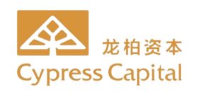 龙柏资本logo