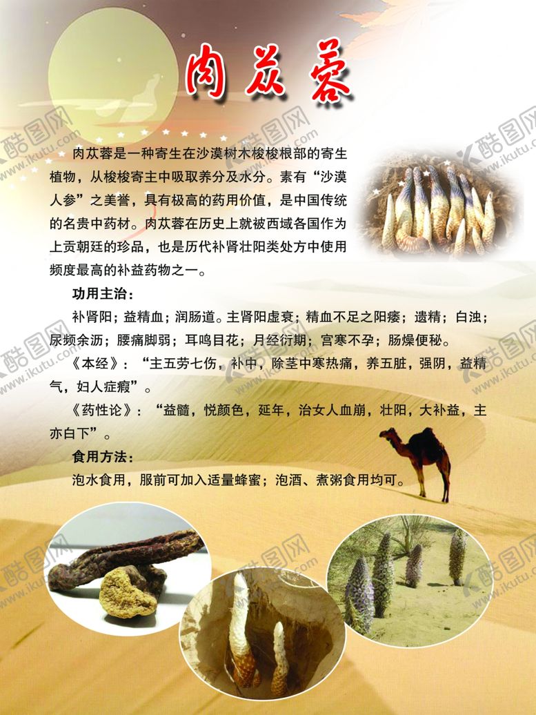 编号：20725109291252558422【酷图网】源文件下载-肉苁蓉