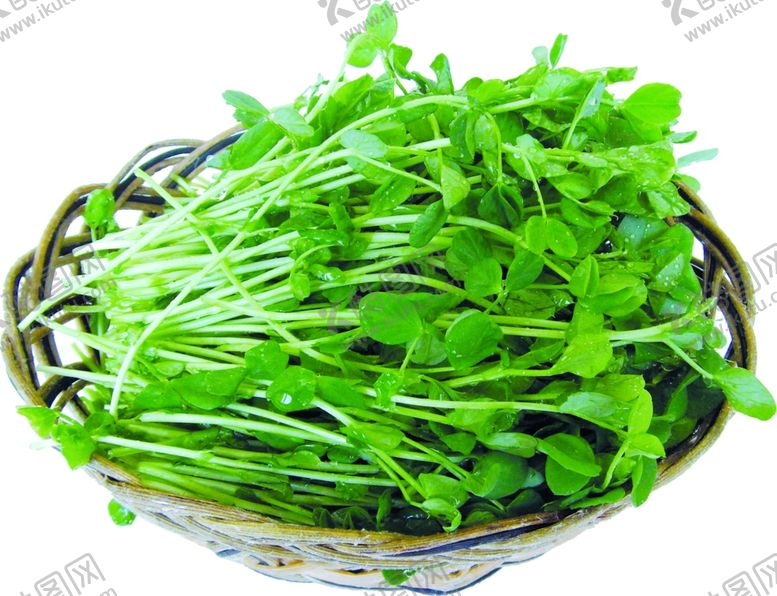 编号：29092410141135042443【酷图网】源文件下载-家常菜美食