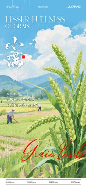 小满节气移动版海报