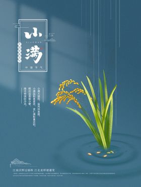 24节气麦子小满海报