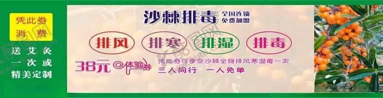 编号：29698601252250357536【酷图网】源文件下载-沙棘排毒
