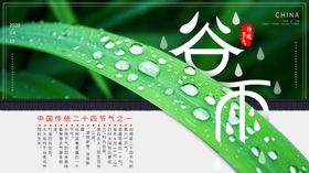 谷雨节气海报 