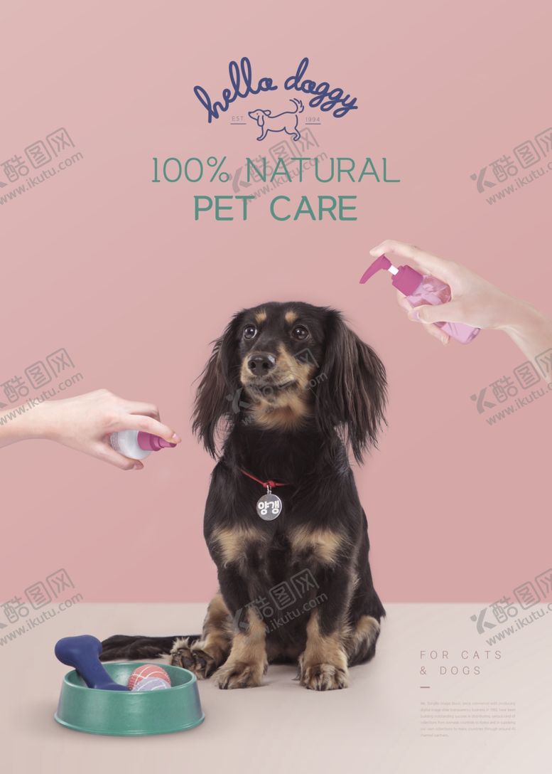 编号：35754909141607136917【酷图网】源文件下载-宠物狗粮海报
