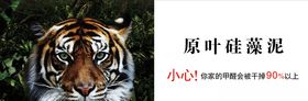 老虎banner