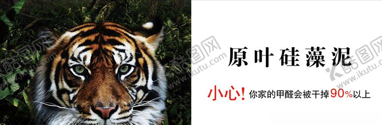 编号：45332905180933017853【酷图网】源文件下载-老虎banner