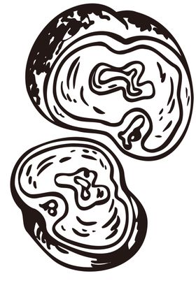 卡通画儿童绘幼儿绘涂鸦